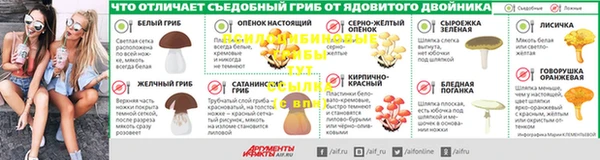 не бодяженный Аркадак