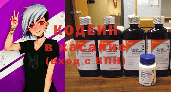 прущие грибы Арсеньев
