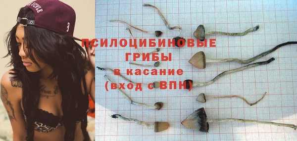 сатива Армянск