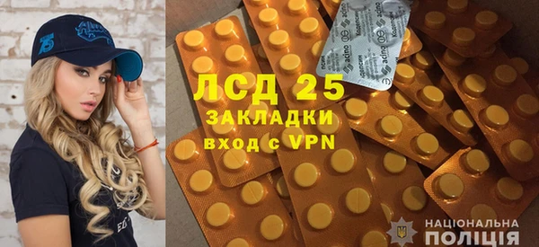 сатива Армянск