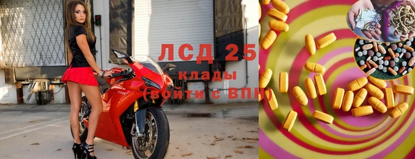 прущие грибы Арсеньев