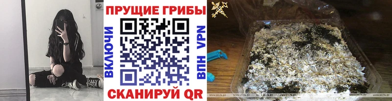 Псилоцибиновые грибы MAGIC MUSHROOMS  где можно купить наркотик  Шали 